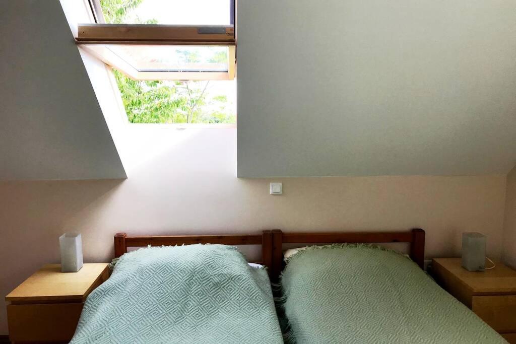 'New' Sunkissed Villa On The Old Hill 巴拉顿诺尔马迪 外观 照片