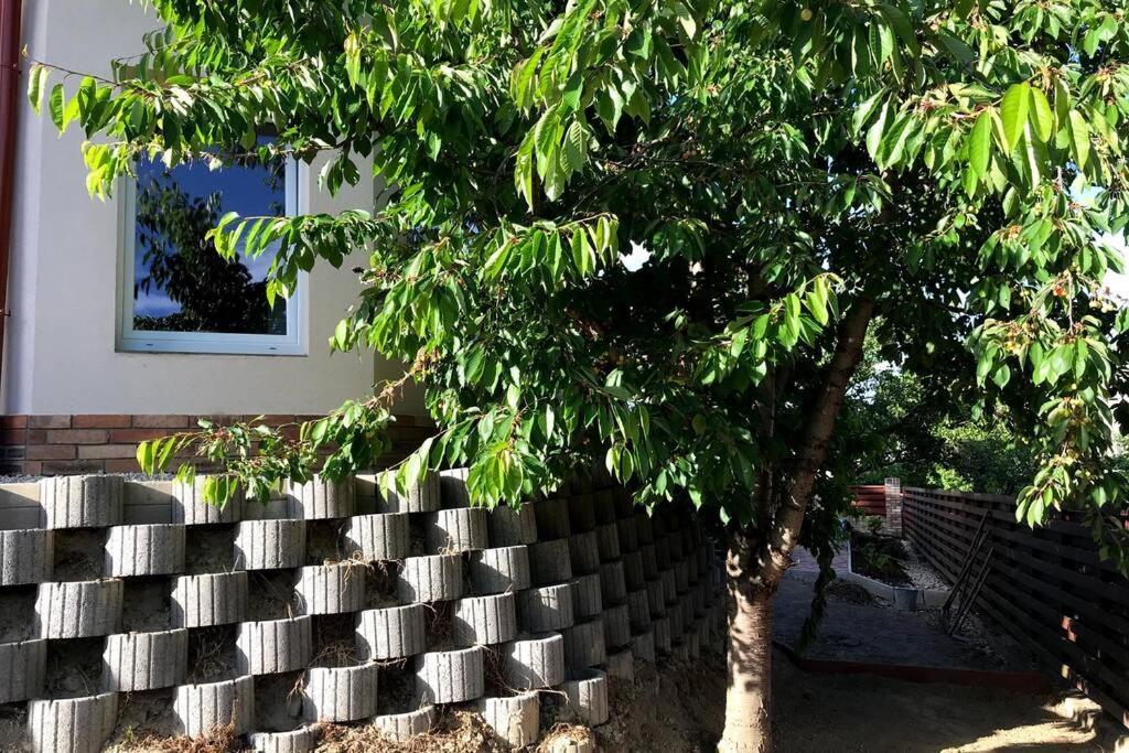 'New' Sunkissed Villa On The Old Hill 巴拉顿诺尔马迪 外观 照片
