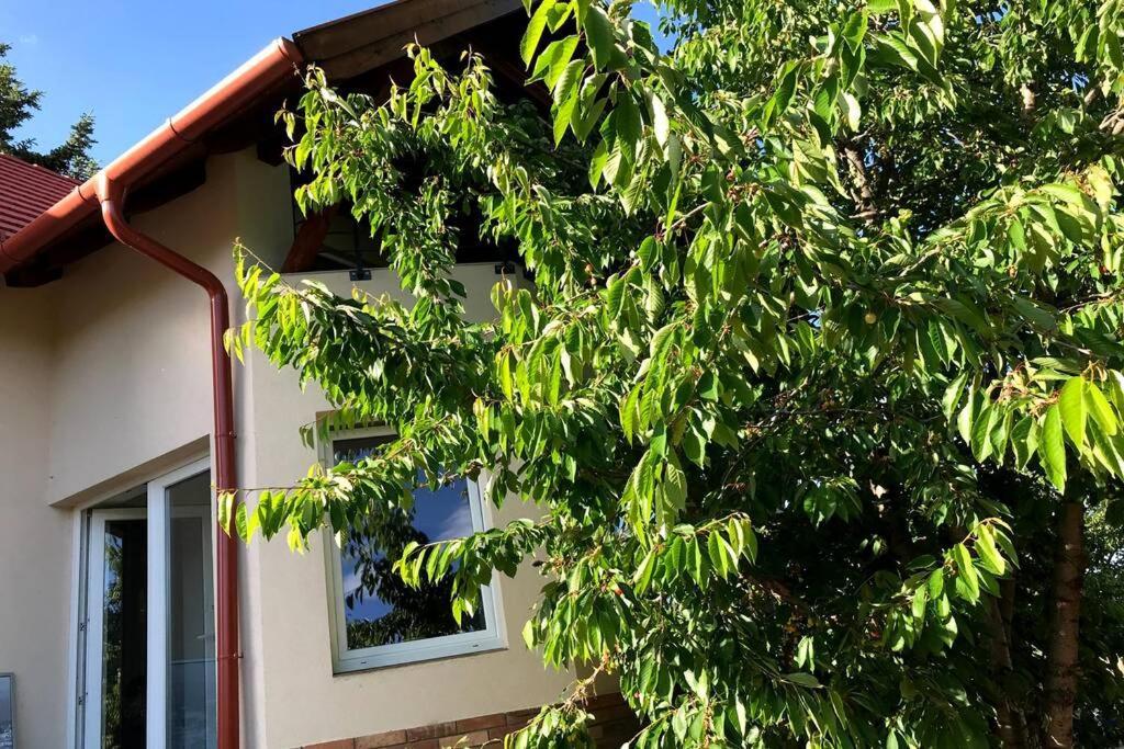 'New' Sunkissed Villa On The Old Hill 巴拉顿诺尔马迪 外观 照片