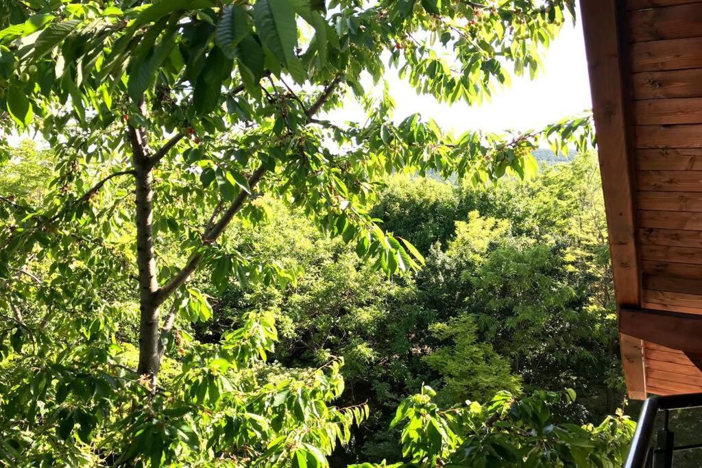 'New' Sunkissed Villa On The Old Hill 巴拉顿诺尔马迪 外观 照片